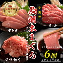 【ふるさと納税】【定期便 6回】日本一!黒潮本まぐろ 中トロ・赤身・ブツ切り(3種交互)