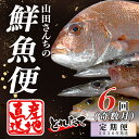 【ふるさと納税】【定期便6回】山田さんちの鮮魚便(奇数月)