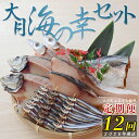 【ふるさと納税】【定期便 12回】大月海の幸セット