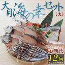 【ふるさと納税】【定期便 12回】大月海の幸セット(大)