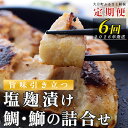 【ふるさと納税】【定期便 6回】塩麹に漬け込んだタイ&ブリ
