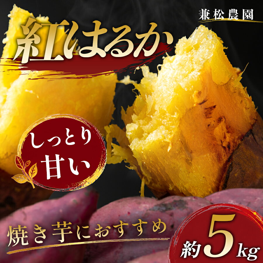 【ふるさと納税】さつまいも 熟成 紅はるか 約5kg 国産 焼き芋 焼芋 やきいも しっとり 蜜芋 芋 おいも サツマイモ さつま芋 べにはるか スイーツ おやつ 産地直送 栽培期間中農薬不使用 高知県 大月町産