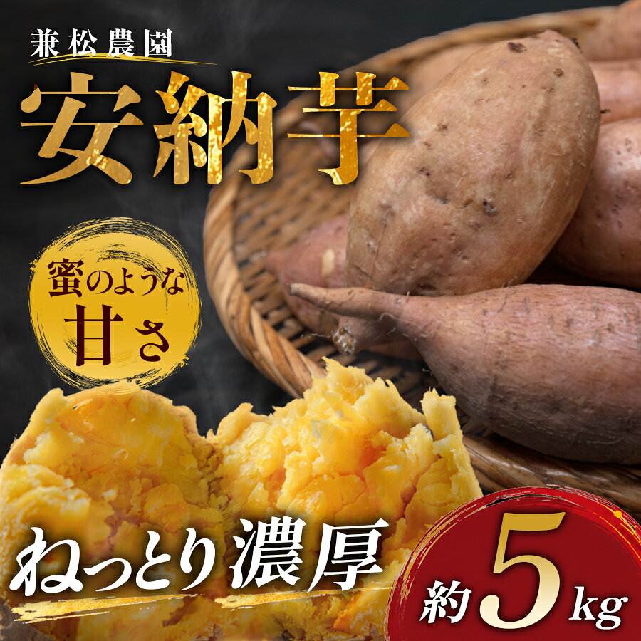 【ふるさと納税】さつまいも 熟成 安納芋 約5kg 焼き芋 焼芋 やきいも ねっとり 濃厚 蜜芋 芋 おいも サツマイモ さつま芋 安納いも スイーツ おやつ 国産 産地直送 栽培期間中農薬不使用 高知県 大月町産
