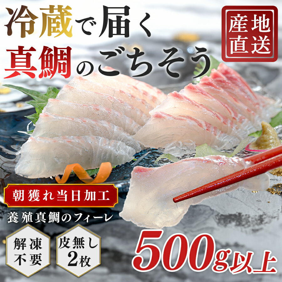 [先行受付] 朝獲れ 真鯛 フィーレ 皮なし 500g以上 刺身 冷蔵 養殖 たい タイ マダイ セット 真空パック 産地直送 当日発送 鮮度抜群 鯛めし 鯛丼 海鮮丼 カルパッチョ お取り寄せ ギフト 贈答 はやぶさ水産 四国 高知県 大月町 柏島産
