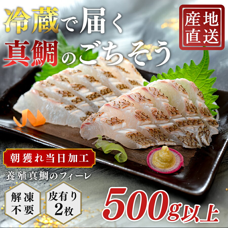 【ふるさと納税】 朝獲れ 真鯛 フィーレ 皮付き 500g以上 刺身 冷蔵 養殖 たい タイ マダイ セット 真空パック 産地直送 当日発送 鮮度抜群 鯛めし 鯛丼 カルパッチョ 塩焼き お取り寄せ ギフト 贈答 はやぶさ水産 高知県 大月町 柏島産