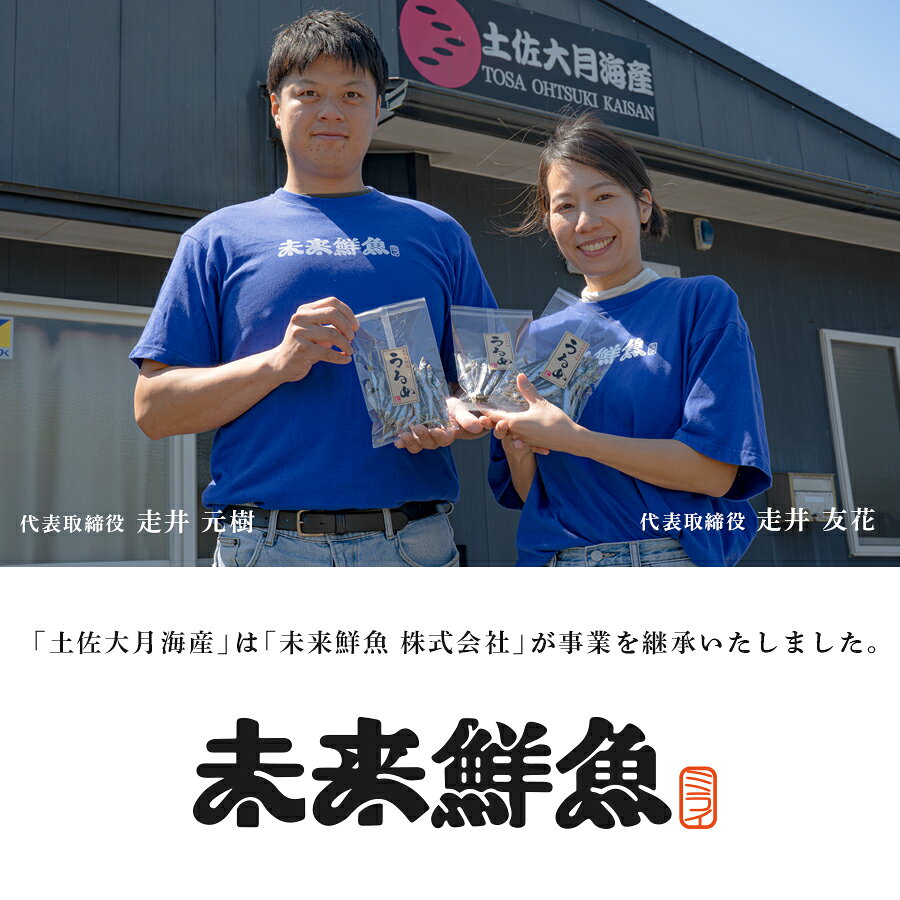 【ふるさと納税】旬のお刺身用 柵セット 4～6種 高知県産 刺身 盛り合わせ 食べ比べ 刺身セット 鮮度抜群 産地直送 海の幸 海鮮 魚介 新鮮 おつまみ 酒 海鮮丼 寿司 厳選 ギフト おすすめ 人気 刺し身 さしみ お中元 お歳暮 カルパッチョ お取り寄せ