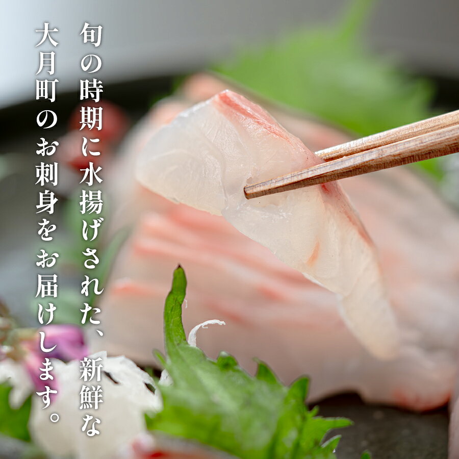 【ふるさと納税】旬のお刺身用 柵セット 4〜6種 高知県産 刺身 盛り合わせ 食べ比べ 刺身セット 鮮度抜群 産地直送 海の幸 海鮮 魚介 新鮮 おつまみ 酒 海鮮丼 寿司 厳選 ギフト おすすめ 人気 刺し身 さしみ お中元 お歳暮 カルパッチョ お取り寄せ f394246-otsuki-10001868 高知県大月町 サンプル画像3
