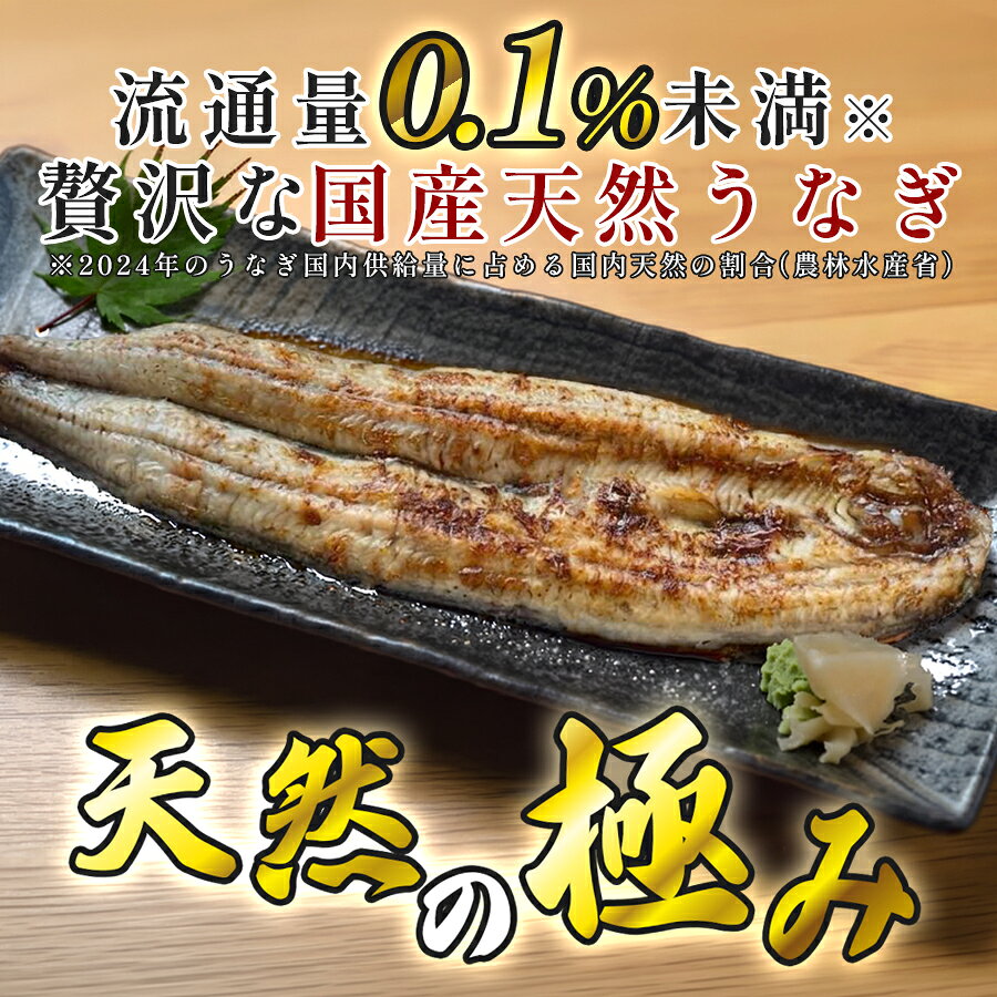 【ふるさと納税】希少 天然 鰻 白焼き 国産 四万十川 うなぎ ウナギ 白焼 ウナギ白...