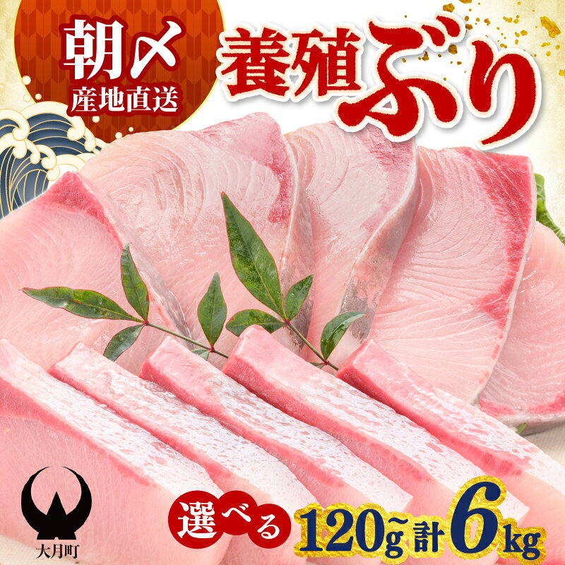 【ふるさと納税】 ぶり 切り身 6kg ~ 120g 選べる 定期便 養殖 冷蔵 刺身 ブリ 鰤 お刺身 たたき 照り焼き ぶり大根 ぶりしゃぶ 生食 海鮮丼 海鮮 旬 ブロック フィレ ギフト 国産 贈答用 人気 さしみ 鍋 丼 寿司 カルパッチョ 新鮮 年末 正月 お歳暮 高知 高知県 大月町