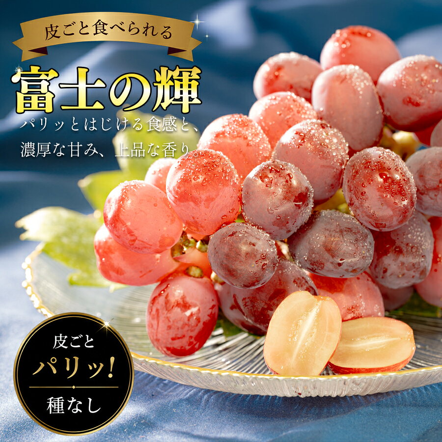 [2026年8月9月発送] ぶどう 種なし 大粒 富士の輝 ( 600g 前後) 1房 葡萄 希少 種無し 高級 ブラックシャインマスカット グレープ 数量限定 期間限定 季節限定 先行予約 果物 くだもの フルーツ ギフト 贈答 新鮮 たねなし 松田ぶどう園 高知 大月町