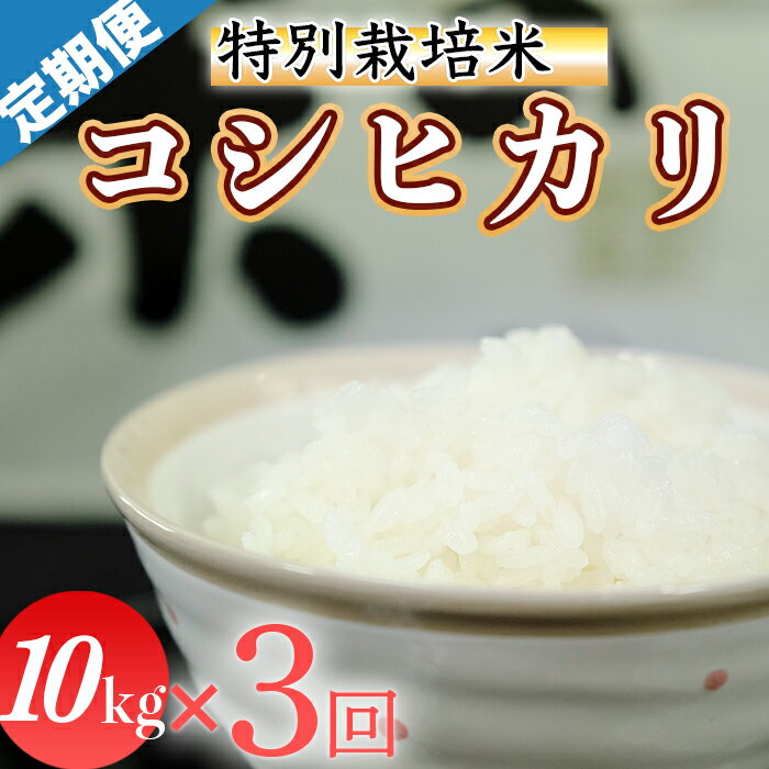 【ふるさと納税】令和5年産 (精白米)　特別栽培米　こしひかり10kg ×3回配送　(1回/月）