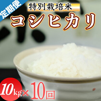 令和5年産 (精白米)　特別栽培米　こしひかり10kg×10回配送　(1回/月）