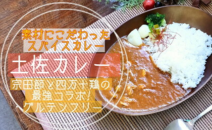 素材にこだわった！ 宗田節 と 四万十鶏 の旨みたっぷり！ 土佐 カレー 5食セット 〔冷凍〕 スパイス ［1595］