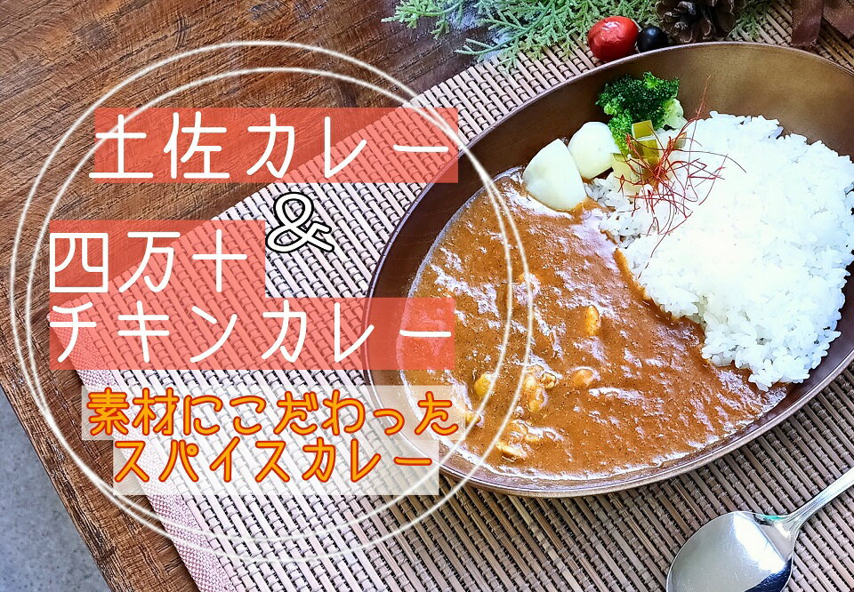 素材にこだわった! 四万十 チキン カレー と 土佐 カレー 各3食セット 〔冷凍〕 四万十鶏 宗田節 スパイス [1596]