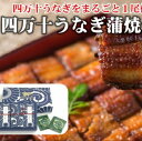 高知県黒潮町の画像1