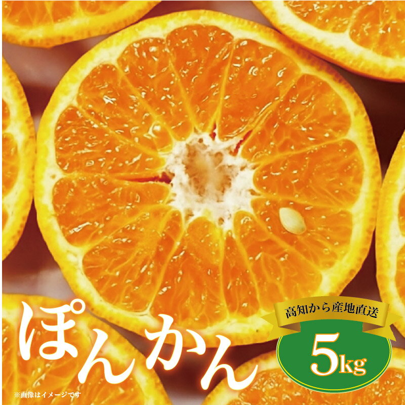 植田農園 の ポンカン 5kg 高知県 産(ご 家庭用 ) [1183]