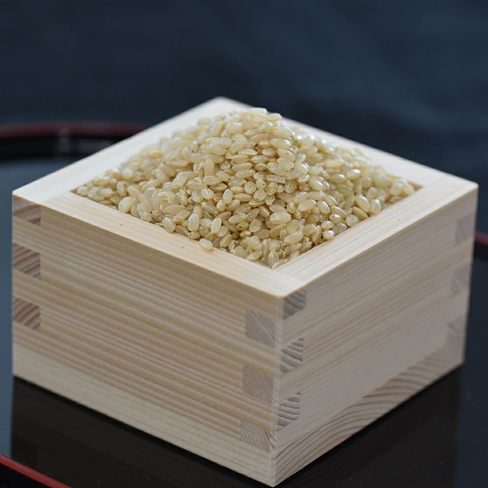 【ふるさと納税】［1311］米作りの伝統を守る小川アグリの新米こしひかり5kg（玄米）