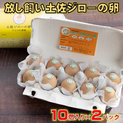 【ふるさと納税】 放し飼い 土佐ジロー 卵 20個 入り 土佐 地鶏 地鶏卵 天然卵 たまご 玉子 特産品 濃..