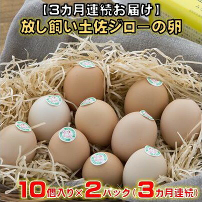 [ 3カ月連続お届け ] 放し飼い 土佐ジロー 卵 20個 入り 3ヶ月 定期便 3回 土佐 地鶏 たまご地鶏卵 天然卵 特産品 玉子 濃厚 卵かけご飯 TKG だし巻き卵 人気 高知 高知県 黒潮町