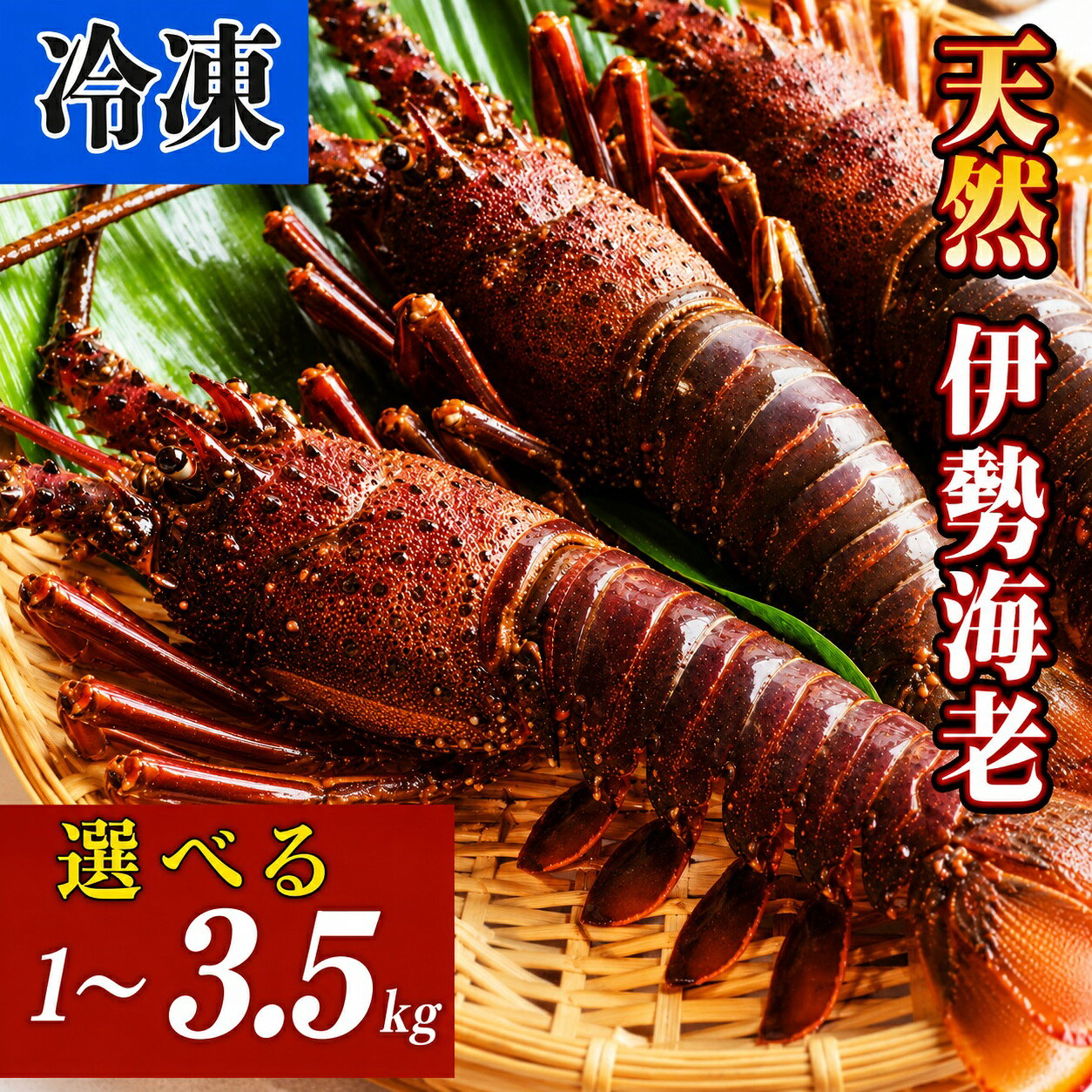 【ふるさと納税】 活き 伊勢海老 選べる1.0kg~3.5kg【冷凍】えび エビ 海老 イセエビ 伊勢エビ 活き 冷蔵 活き伊勢海老 活き伊勢エビ 活き伊勢えび 活きイセエビ 活きいせえび 活伊勢海老 活伊勢エビ 活伊勢えび 高級 鮮魚 海鮮 魚介 刺身 活き刺し身 活き刺身 焼き物 汁物