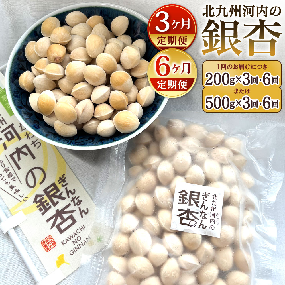 【ふるさと納税】【定期便】冷凍 北九州河内の銀杏 〈選べる〉200g または 500g 3ヶ月定期便 または 6ヶ月定期便 銀杏 ぎんなん 殻付き..
