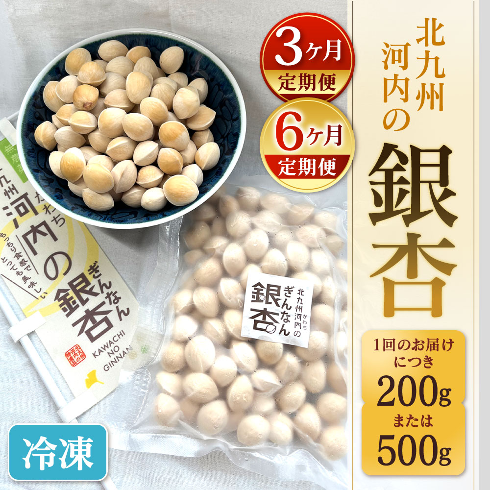 【ふるさと納税】【定期便】冷凍 北九州河内の銀杏 〈選べる〉200g または 500g 3ヶ月定期便 または 6ヶ月定期便 銀杏 ぎんなん 殻付き 実 おつまみ おやつ 酒の肴 モチモチ 国産 福岡県北九州市