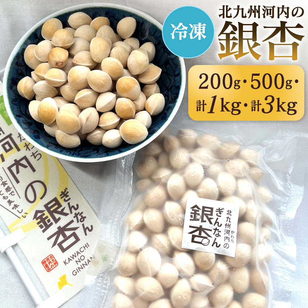 【ふるさと納税】冷凍 北九州河内の銀杏 〈選べる〉200g / 500g / 1kg / 3kg 銀杏 ...