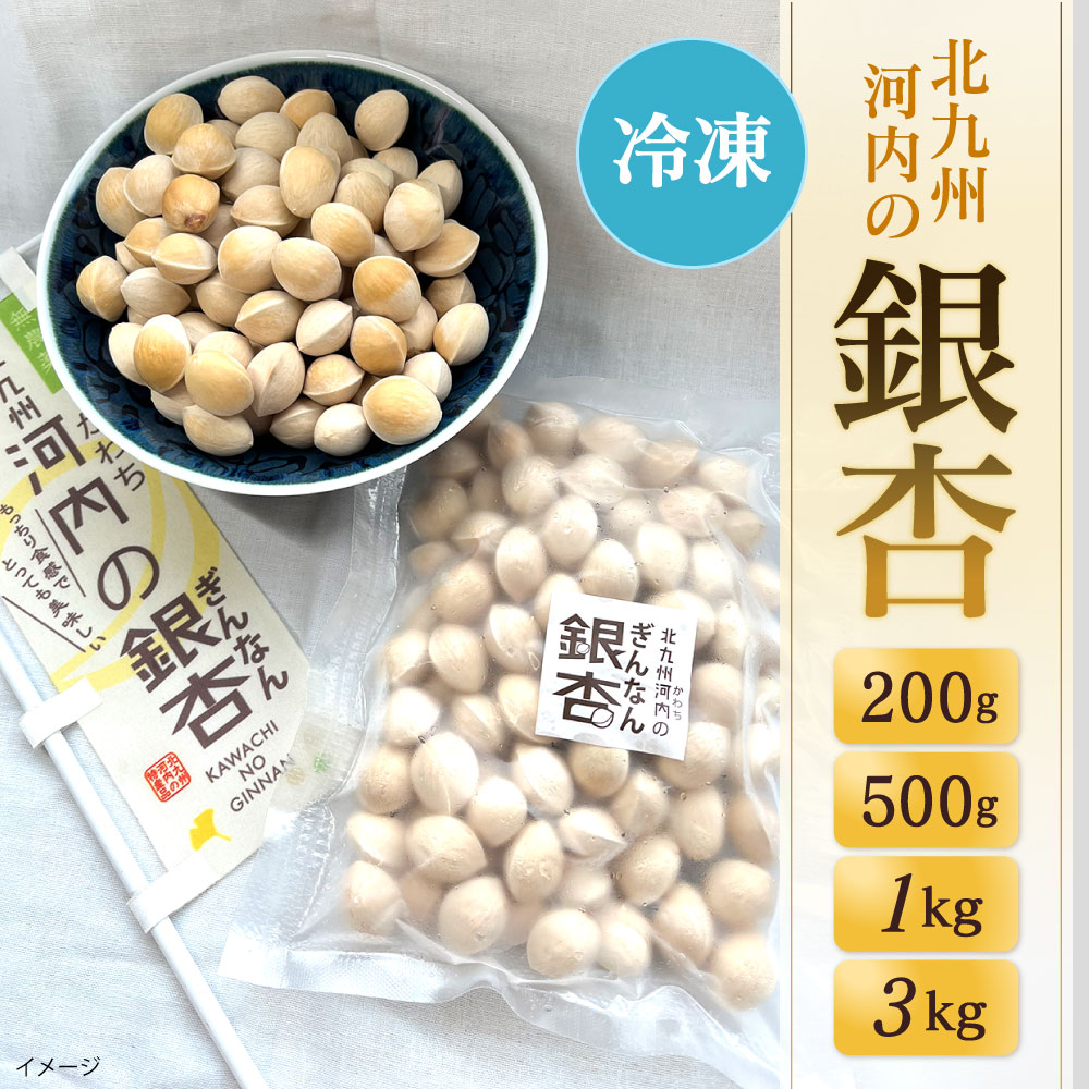 福岡県北九州市の【ふるさと納税】冷凍 北九州河内の銀杏 〈選べる〉200g / 500g / 1kg / 3kg 銀杏 ぎんなん 殻付き 実 おつまみ おやつ 酒の肴 モチモチ 国産 福岡県北九州市｜アングル2