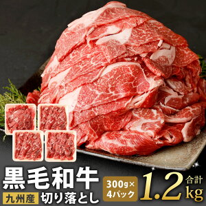 【ふるさと納税】復刻！ 九州産 黒毛和牛 切り落とし 合計1.2kg 300g×4パック 小分け お肉 国産牛 牛肉 切落し 冷凍 送料無料