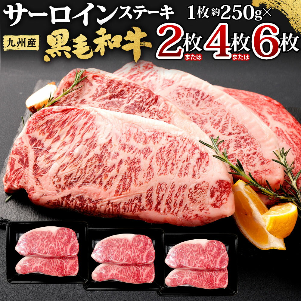 【ふるさと納税】九州産 黒毛和牛 サーロインステーキ ＜選べる＞ 計約500g(約250g×2枚) または 計約1kg(約250g×4枚) または 計約1.5kg(約250g×6枚) ステーキ バーベキュー BBQ アウトドア サーロイン 牛肉 お肉 国産 日本産 国産牛 冷凍 日本 九州 送料無料