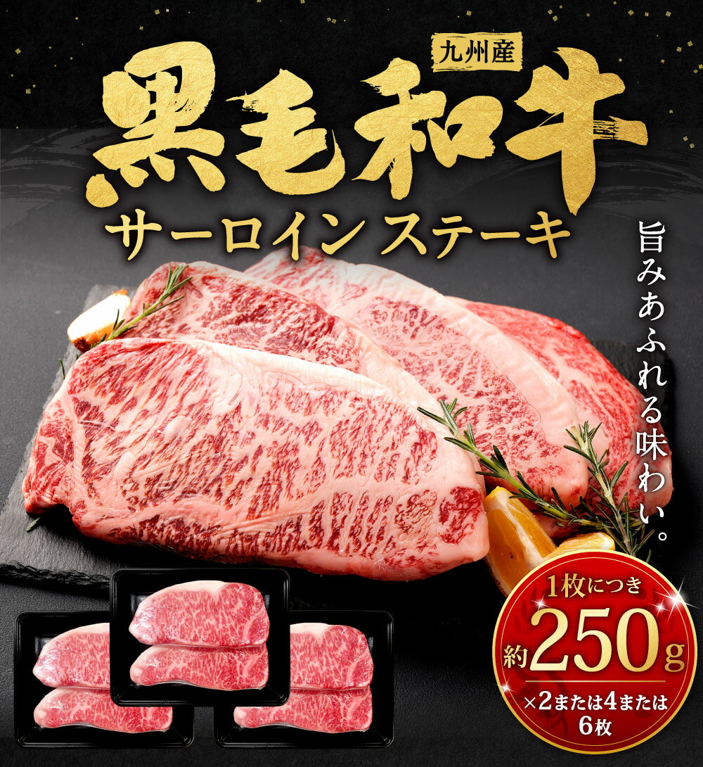 【ふるさと納税】九州産 黒毛和牛 サーロインステーキ ＜選べる＞ 計約500g(約250g×2枚) または 計約1kg(約250g×4枚) または 計約1.5kg(約250g×6枚) ステーキ バーベキュー BBQ アウトドア サーロイン 牛肉 お肉 国産 日本産 国産牛 冷凍 日本 九州 送料無料