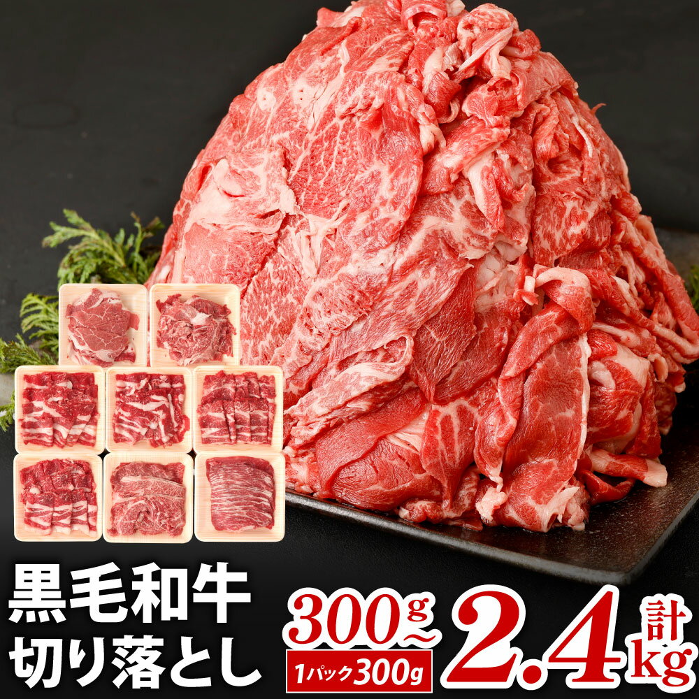 【ふるさと納税】九州産 黒毛和牛 切り落とし 1パック300g 選べる 300g(1パック) / 計 ...