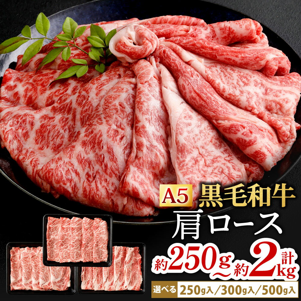 【ふるさと納税】復刻！ A5 九州産 黒毛和牛 肩ロース