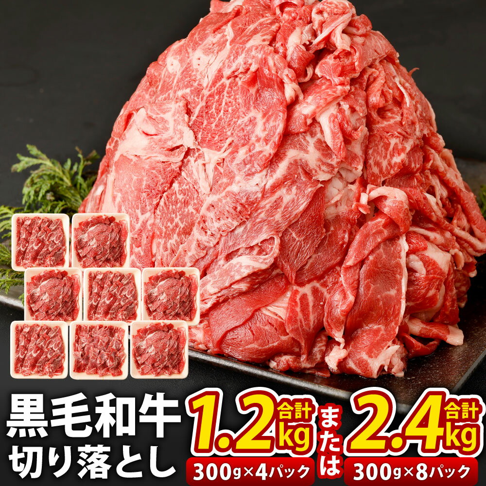 【ふるさと納税】九州産 黒毛和牛 切り落とし ＜選べる＞合計1.2kg(300g×4パック) または 合計2.4kg(3...