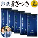 54位! 口コミ数「2件」評価「5」八女市産 煎茶 さつき 100g×5袋 合計500g 緑茶 日本茶 お茶 国産茶 お茶の星野園 八女茶 国産 九州 福岡県 送料無料