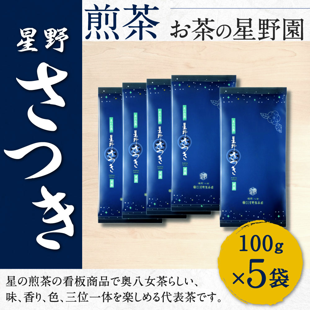 【ふるさと納税】八女市産 煎茶 さつき 100g×5袋 合計500g 緑茶 日本茶 お茶 国産茶 お茶の星野園 八女茶 国産 九州 福岡県 送料無料