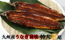 【ふるさと納税】FY05-R30 九州産うなぎ蒲焼特大5尾(...