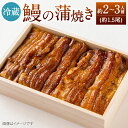 13位! 口コミ数「0件」評価「0」【指定日可】鰻の蒲焼 ( 冷蔵 225g/ 約2～3人前 / 約1.5尾 ) うなぎ 蒲焼き ウナギ タレ・山椒付き 冷蔵便 お祝い 贈り物･･･ 