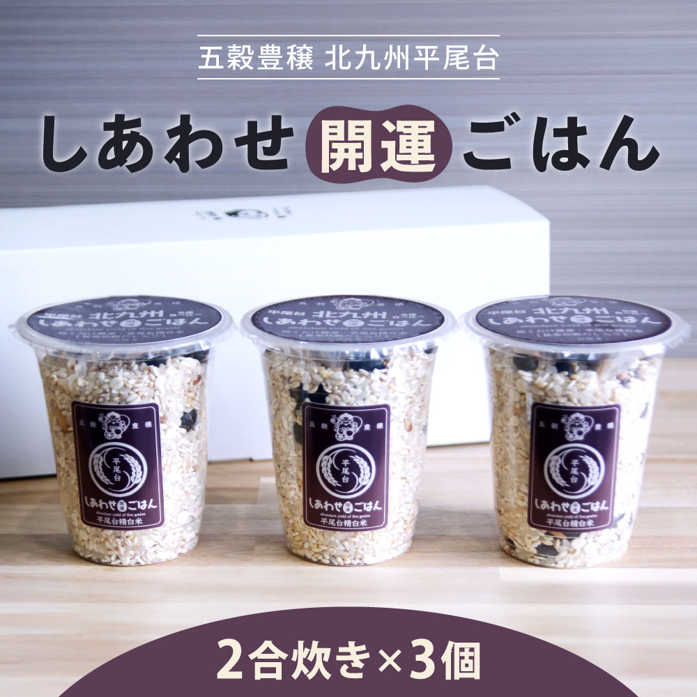 【ふるさと納税】五穀豊穣北九州平尾台 しあわせ開運ごはん 2合炊き×3個 計834g 精白米 雑穀 真昆布出汁 雑穀米 うるち米 米粒麦 胚芽押麦もち麦 もち米 黒豆 発芽玄米 もち黒米 もちきび もち赤米 もちあわ 和食 健康 国産 福岡県北九州市