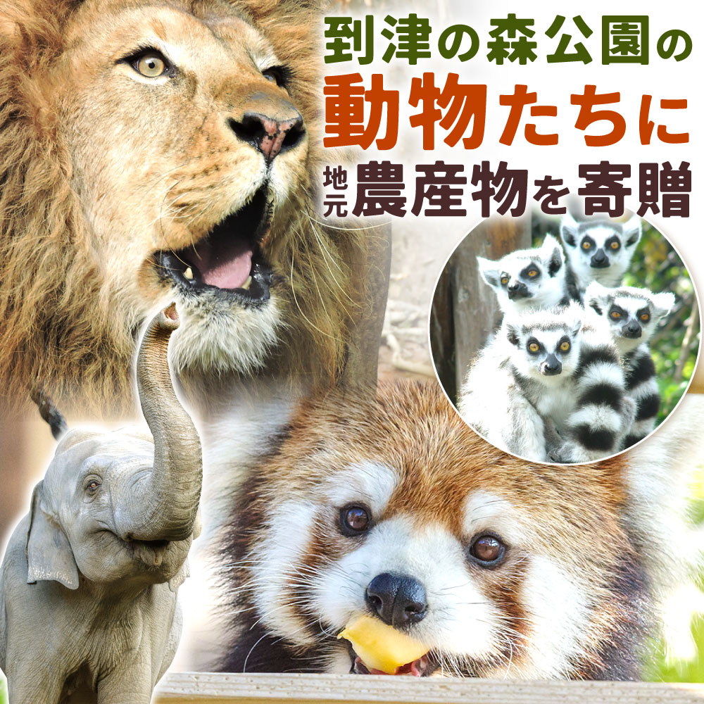 [寄贈型] 到津の森公園の動物たちに地元農産物を寄贈 旬 野菜 農産物 10kg程度 動物 えさ ご飯 支援 食品ロス 到津の森公園 福岡県 北九州市