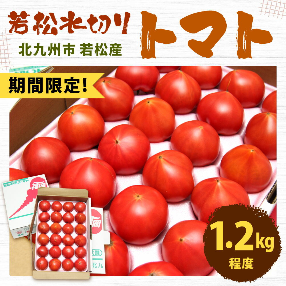 【ふるさと納税】【期間限定】若松 水切り トマト 1.2kg程度 ( 16～30玉 ) 糖度9度基準 野菜 生野菜 新鮮 やさい 甘い 高糖度 小ぶり 国産 福岡県 九州 送料無料 ＜2024年4月上旬より順次発送予定＞