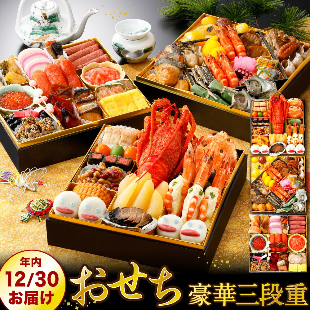 【ふるさと納税】【かば田】豪華 おせち 三段重 サイズ8寸(縦25cm×横25cm)×三段 和風 冷凍 2023年 正月 新春 新年 御節 予約 福岡県 九州 送料無料 ※離島配送不可