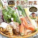 【ふるさと納税】【12回定期便】若松産 神田野菜季節の 野菜 詰め合わせ 12回 季節の野菜 新鮮 旬 鮮度 季節 生野菜 やさい 12ヶ月 冷蔵 国産 福岡県...