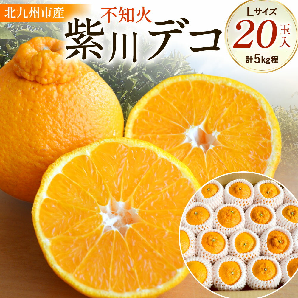【ふるさと納税】紫川デコ ( 不知火 ) Lサイズ 20玉入 計5kg程 フルーツキャップ付き フルーツ みかん 柑橘 しらぬい ミカン 蜜柑 ジューシー 旬 新鮮 季節 福岡県 北九州市 予約 【2026年3月上旬~2026年3月下旬発送予定】