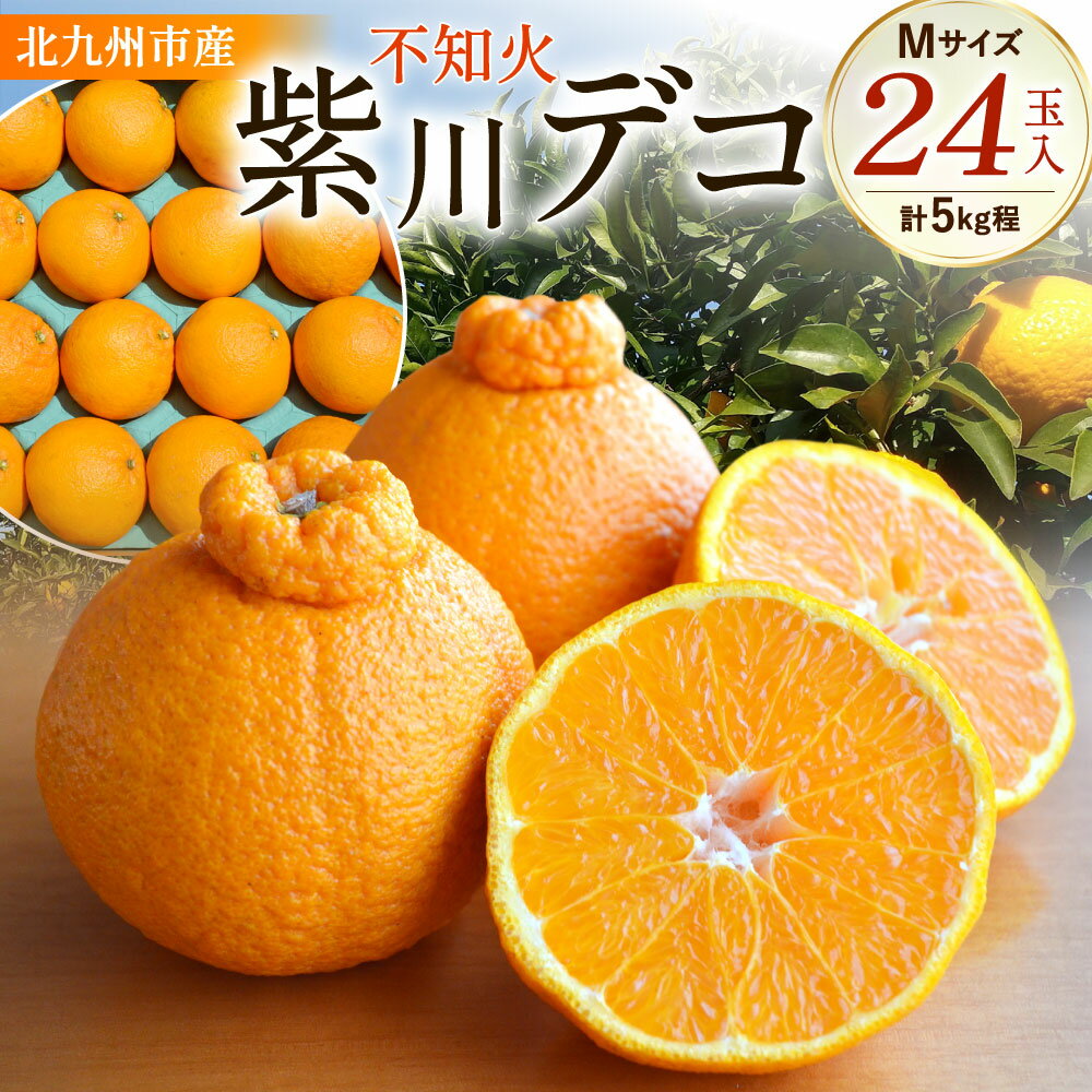 【ふるさと納税】紫川デコ ( 不知火 ) Mサイズ 24玉入 計5kg程 フルーツ みかん 柑橘 しらぬい ミカン 蜜柑 ジューシー 旬 新鮮 季節 福岡県 北九州市 予約【2026年3月上旬~2026年3月下旬発送予定】