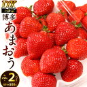 【ふるさと納税】福岡県産 博多あまおう DX上級品 約500g (約250g×2パック入り) 福岡県産特産品 うまもぐ厳選果物 いちご フルーツ 旬 果物 あまおう 苺 果汁 デラックス 冷蔵 国産 九州 【2025年12月発送予定】