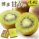 「甘い」と「キウイ」で「甘うぃ」。 キウイフルーツ国内生産量第2位の福岡県が開発した新品種です。 大ぶりの果実で果肉は黄色に近い黄緑色をしており、甘みたっぷりのジューシーな食感となっています。 甘うぃは【福岡県限定生産】です。 甘うぃをぜひ...