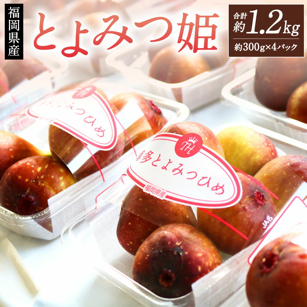 5位! 口コミ数「0件」評価「0」【2024年9月下旬より順次発送】福岡県産 とよみつ姫 約1.2kg(約300g×4パック入り) いちじく 無花果 イチジク フルーツ 果物･･･ 