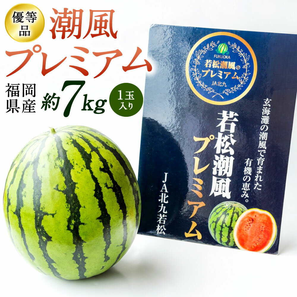 [2024年7月中旬より順次発送]福岡県北九州市若松産 [優等品] 潮風プレミアム西瓜 約7kg(1玉入り) すいか 果物 フルーツ 野菜 くだもの 旬 季節 新鮮 夏 高品質 西瓜 予約 国産福岡県 九州 送料無料