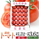 【ふるさと納税】若松濃縮トマト ＜選べる＞ 約1.2kg 